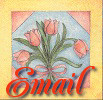 Email Me