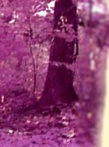 Six
